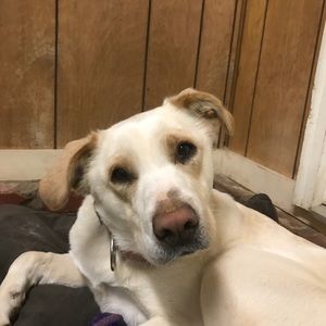 Meet your Posher, Tina